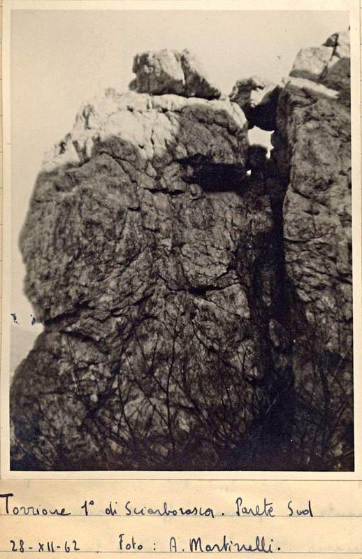 Sciarborasca0002