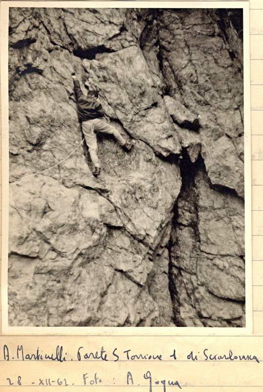 Sciarborasca0003