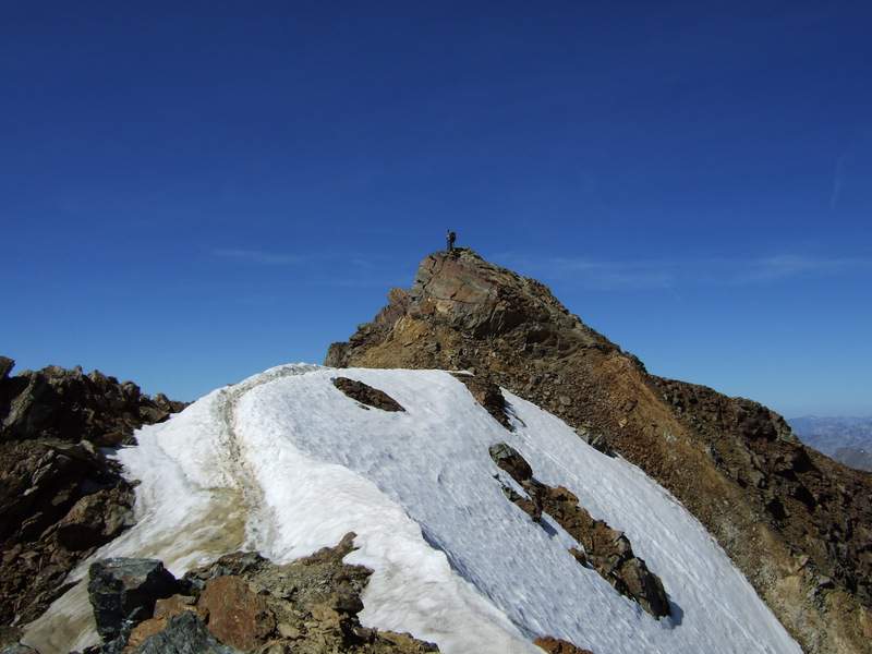 MonteVioz