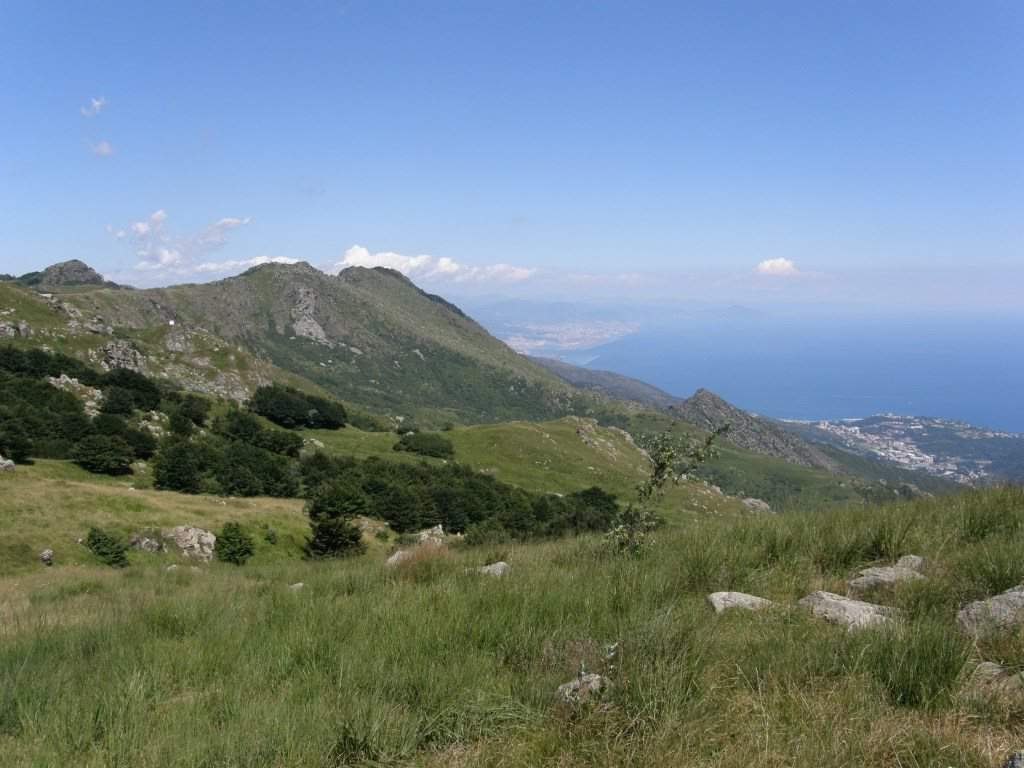 Scippo-3