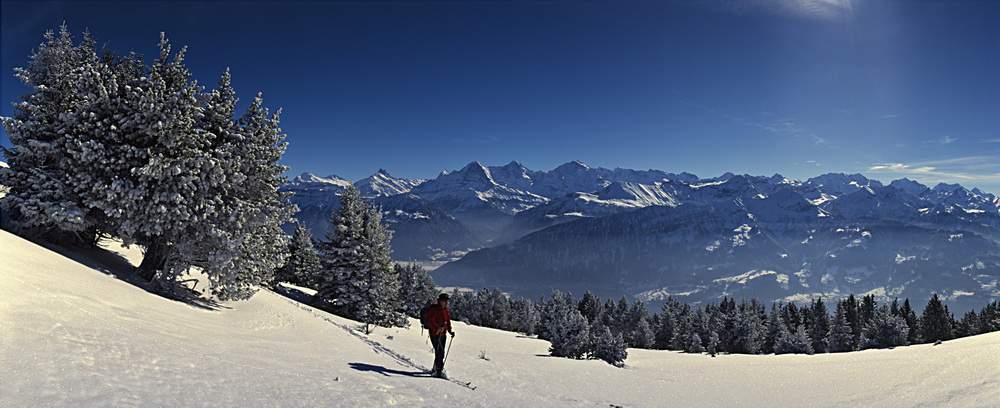 Dal Niederhorn (Prealpi Bernesi) panorama su Eiger, Moench, Jungfrau e Oberland Bernese, Svizzera