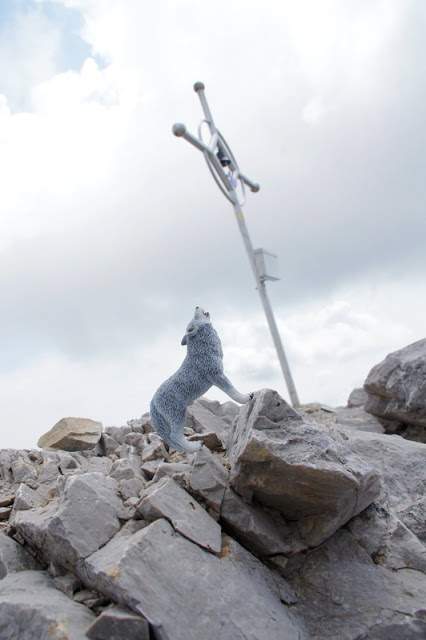 DueAnzi19.000Parole-1-a