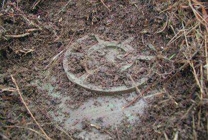 DueAnzi19.000Parole-2-l43-sminatore-121227200543_medium